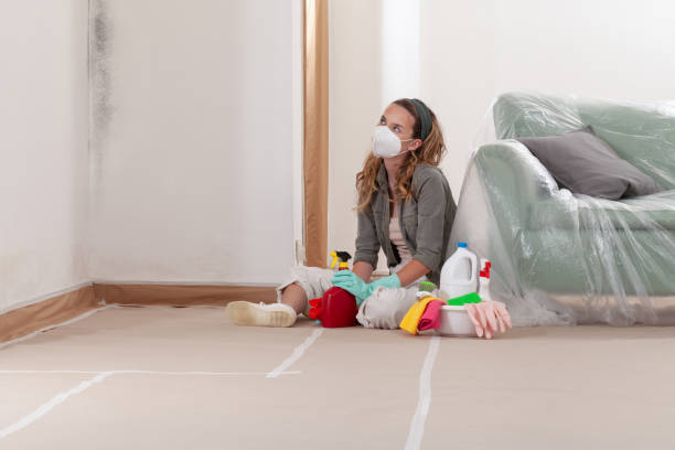 Reliable Black Mold Removal contractor in West Olive, MI by WQB Mold Removal